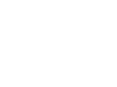 SEGUROS-AFIRME