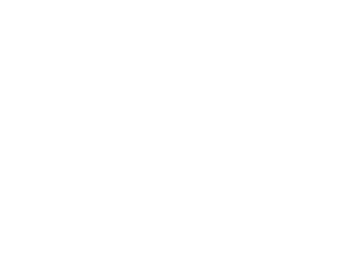 plan-seguro